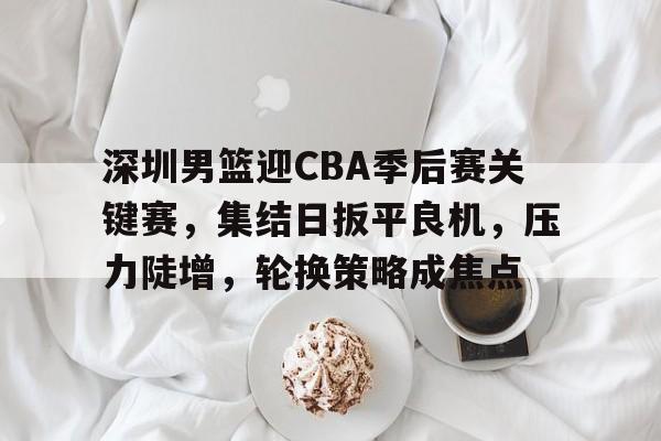 深圳男篮迎CBA季后赛关键赛，集结日扳平良机，压力陡增，轮换策略成焦点的简单介绍-星空体育网页登陆